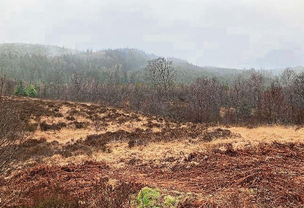 Village will find funds to purchase ‘The Field’