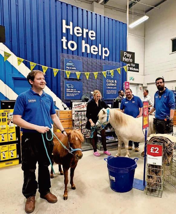 Hoofgang get welcome boost in battle for calm