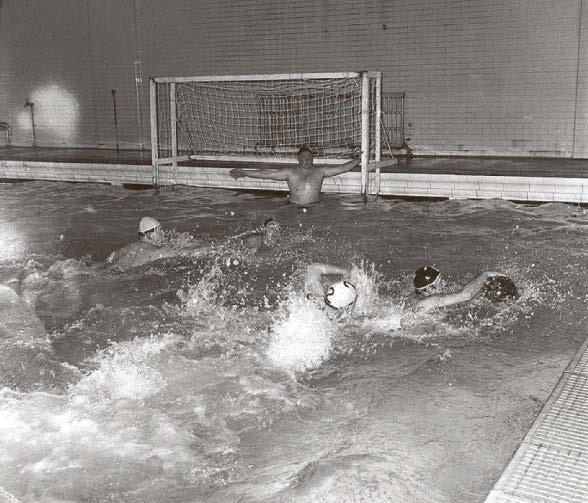 Heath Town and Smethwick go head to head in the pool | Black Country ...