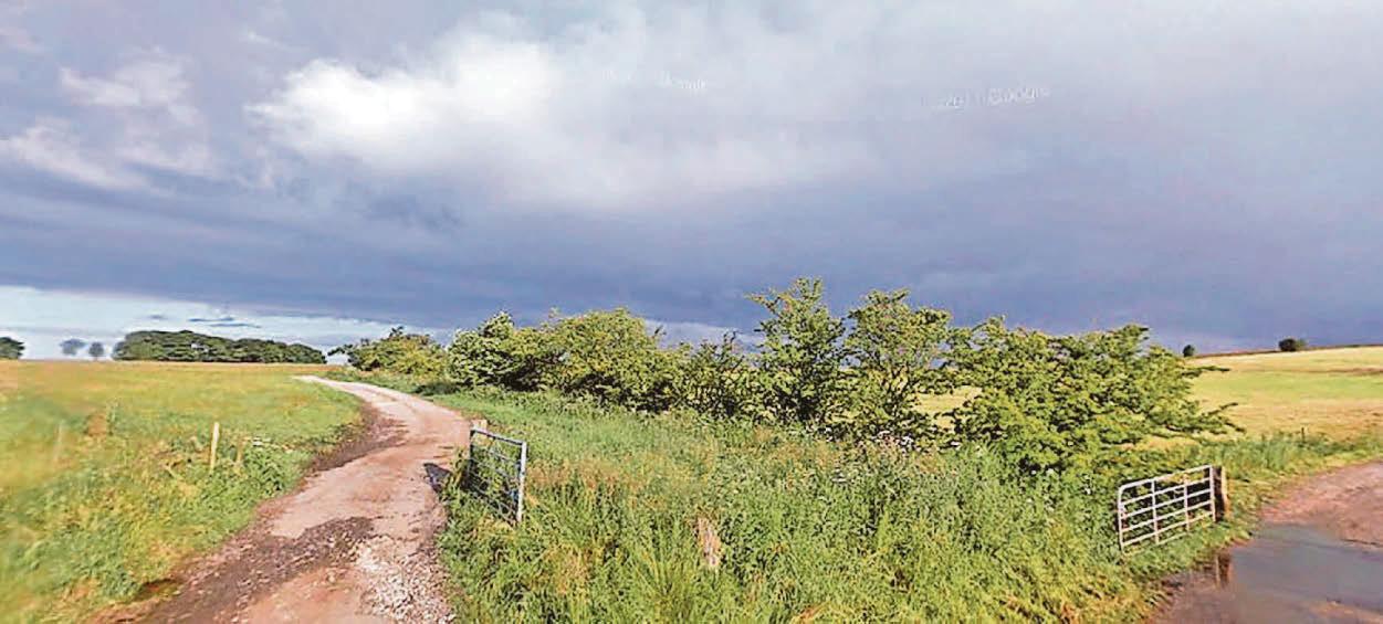 Wind turbines earmarked for farmland after Labour lift ban