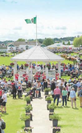 Eyes on the skies as Leek Rotary prepares for Classic Car Show