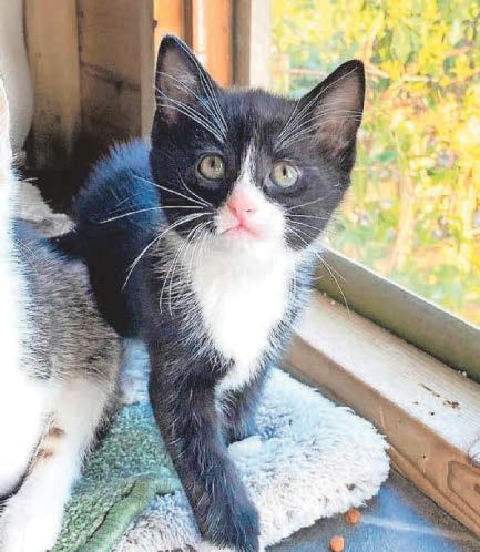 Could you be the one to make Melody's dreams come true?