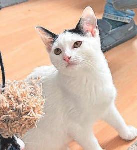 Found in a shocking state - but now Thomas is on the mend