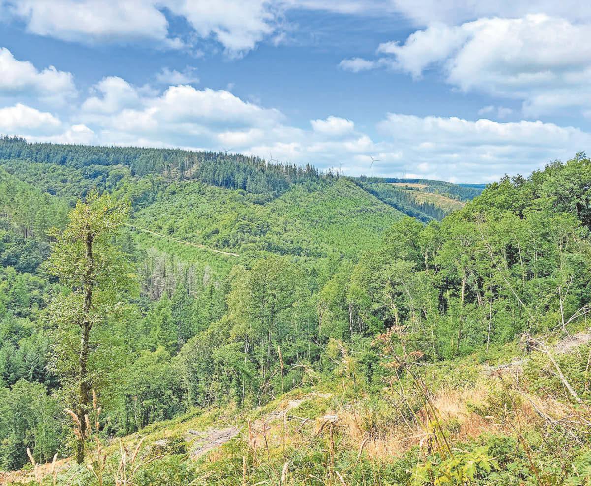 TURBINE FEARS FOR 'PARADISE'