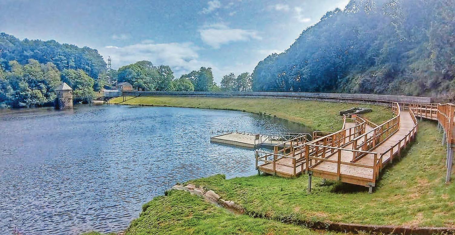 Beauty spots join National Forest for Wales network