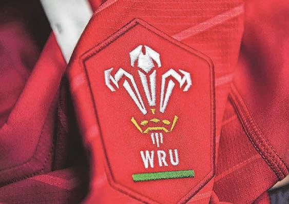 What next for Scarlets as WRU could cut a region or two?