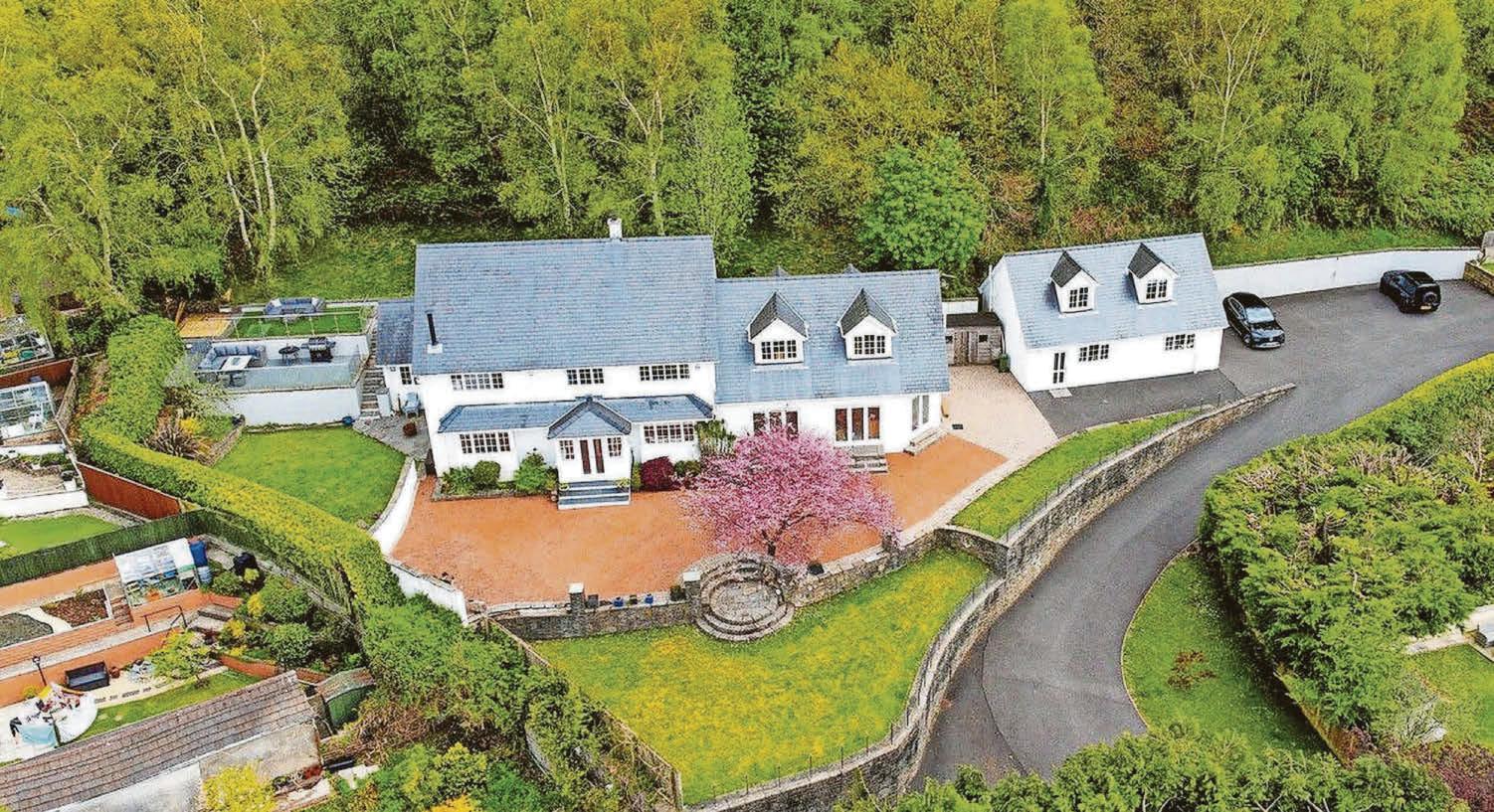 Woodland retreat
