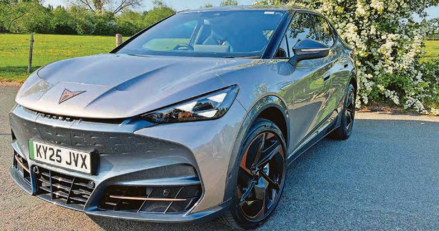 Copper load of this Cupra!
