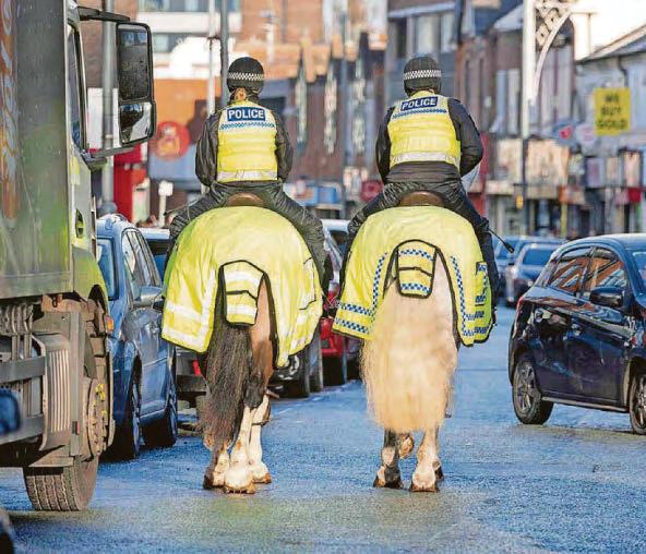Bid to bring back mounted police to Birmingham base