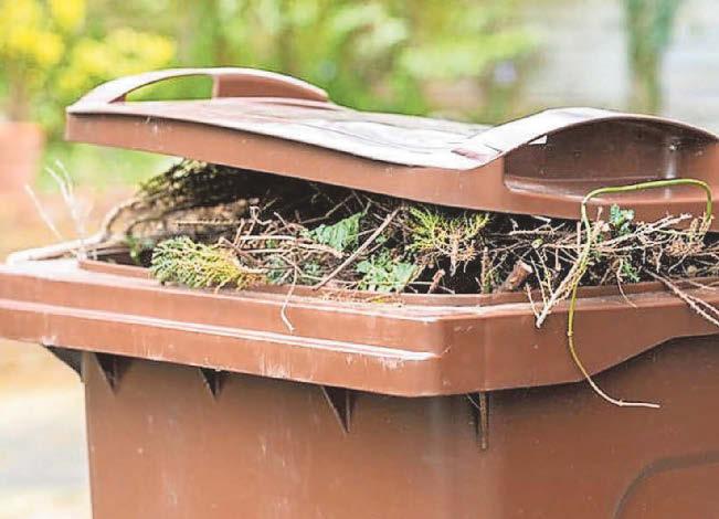 Ruling Labour group slammed over lack of garden waste service