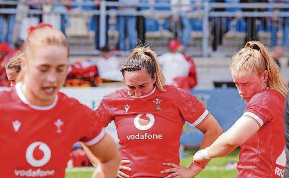 MORE AGONY AS WALES END BOTTOM OF THE PILE