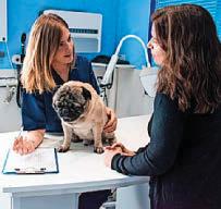 Top tips on how to keep your vet bills affordable