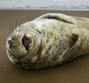 Capture the summer in photograph competition