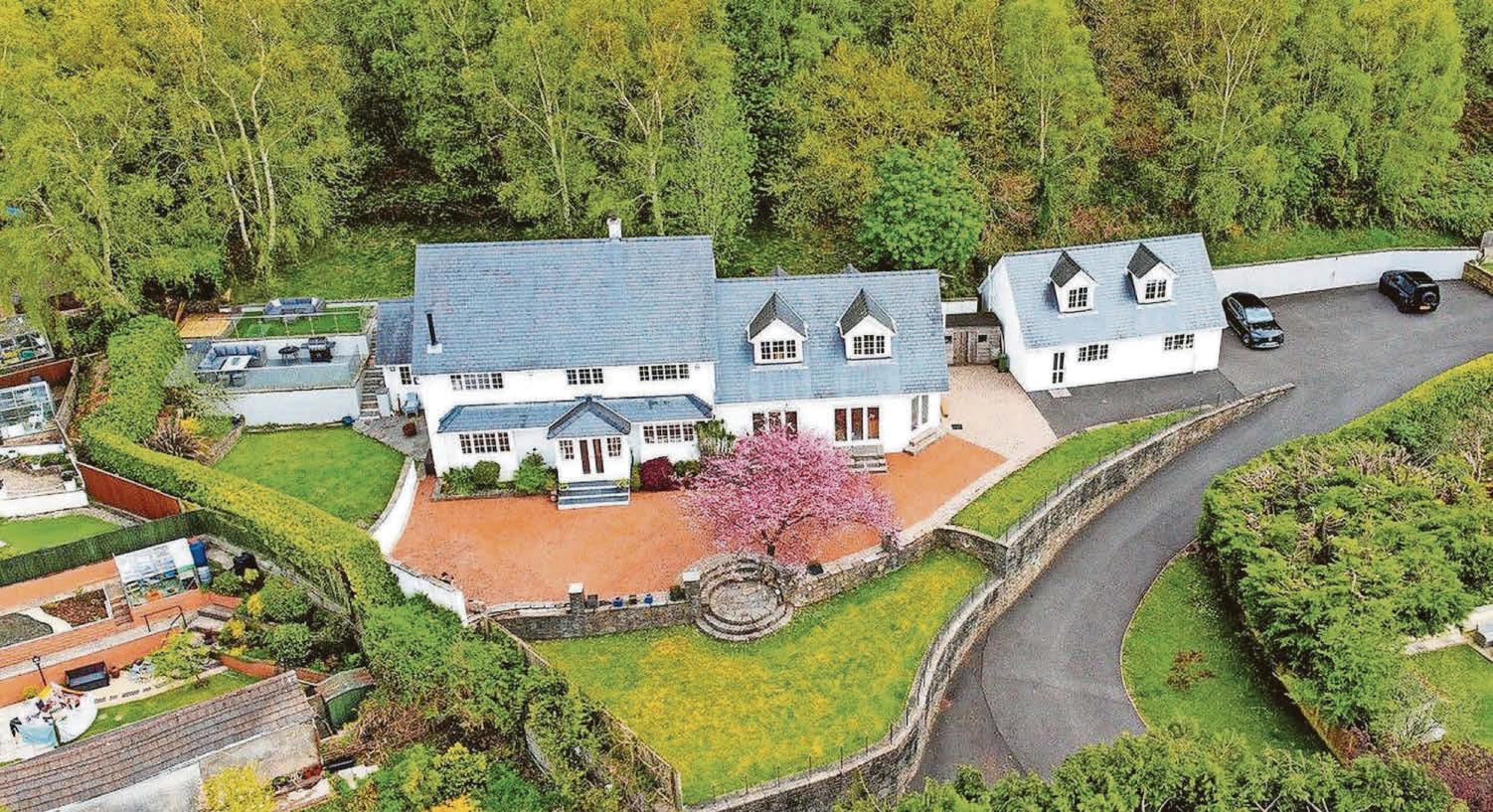 Woodland retreat