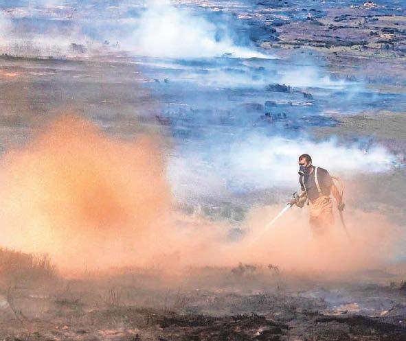 MPs to look for ways to tackle the growing threat of wildfires