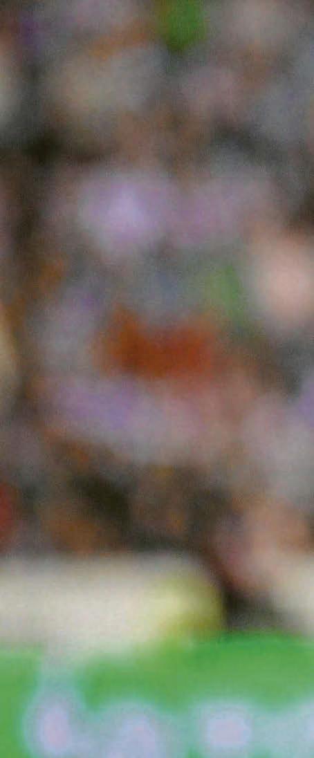 Broadbent's current form gives Peters a selection headache