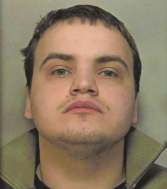 Man in charge of tending cannabis grow is locked up