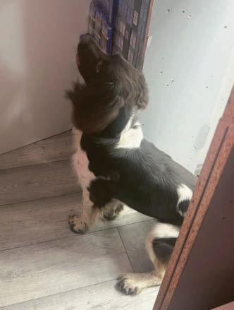 'Illegal tobacco and vapes are a danger to anyone who uses them'