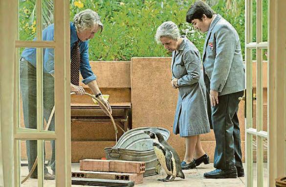 Animals humanise people... and they make them more decent humans to each other