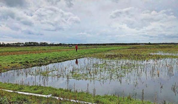 Mapping data shows 80% of England's peatlands are dry