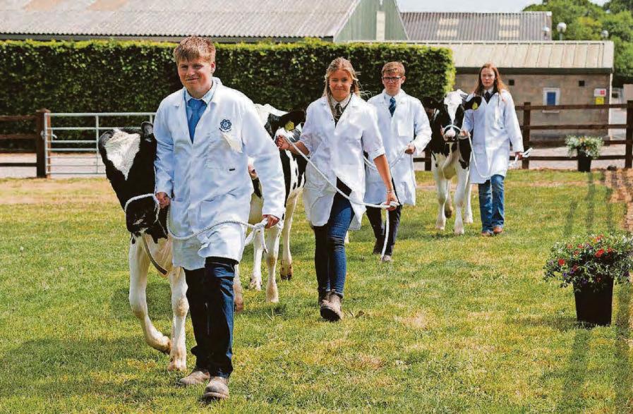Livestock and equine skills on proud display at flagship show