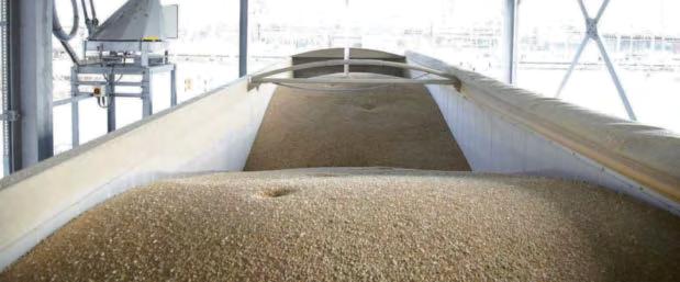 VIVERGO FUELS BOSS BELIEVES 'TIME IS RAPIDLY RUNNING OUT'