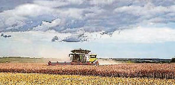 Cutting nature-friendly farming budget would be 'devastating'