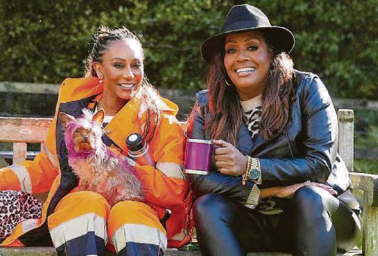 Laughter is the best medicine