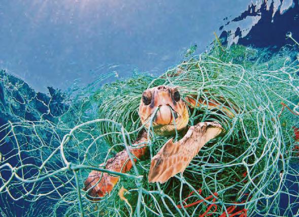 UK to legislate for UN High Seas Treaty by end of year