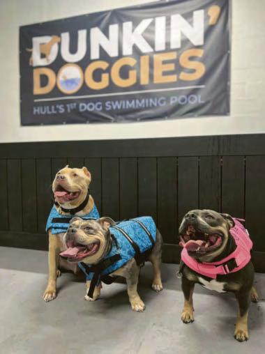 DOGGY PADDLE!
