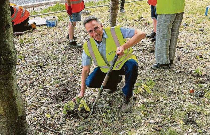 Wildflowers helping the gardens revamp bloom
