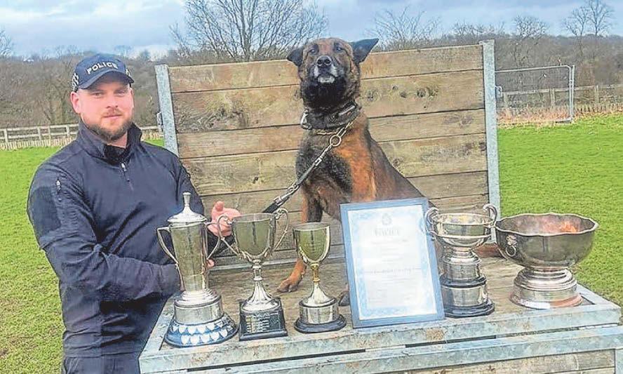 'Quinta remembers me, she's home now'