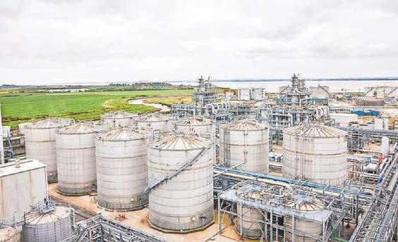 Fears over future of bioethanol plant 'could put jet fuel project in jeopardy'
