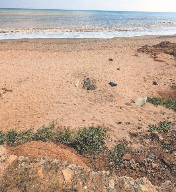 RSPCA plea over dog's body buried on a beach