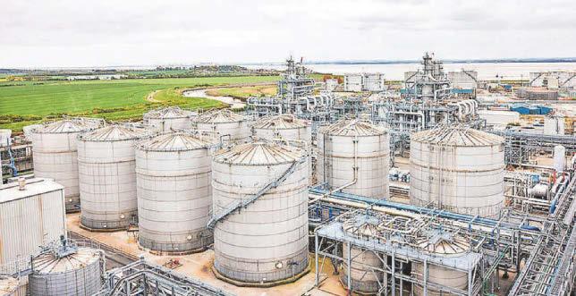 'We did everything we possibly could to avoid closure'