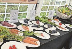 Historic Hull site nurtures friendships and vegetables