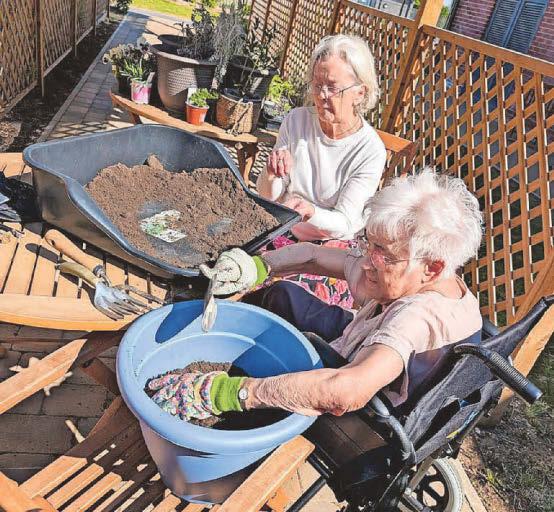 Care home residents enjoy fruits of their labours with 'ground to plate' initiative