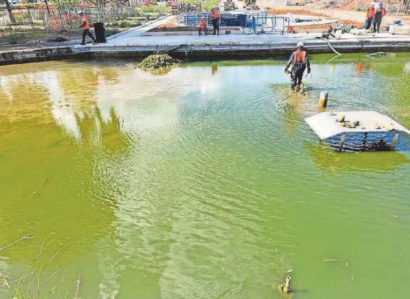 Queens Gardens pond refurbishment unveils a long-unseen mosaic