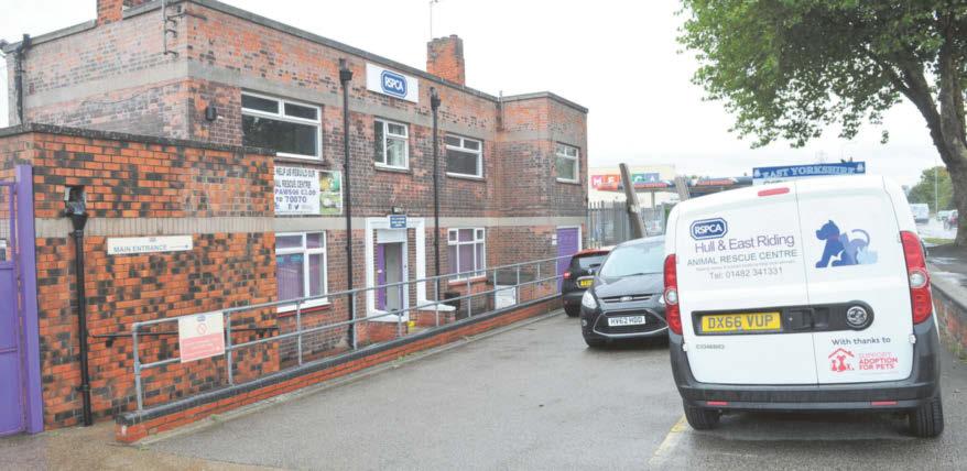 RSPCA Hull & East Riding CEO speaks out after 'personal attacks' spread online