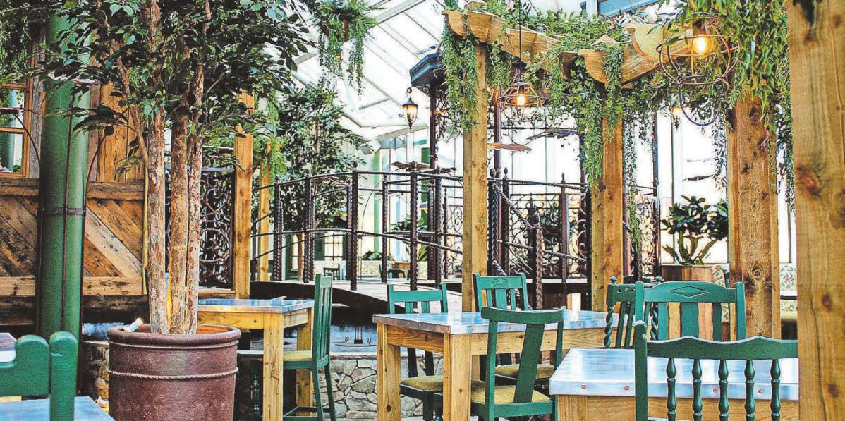 Call for a 'full investigation' into Iron Lilies grant award