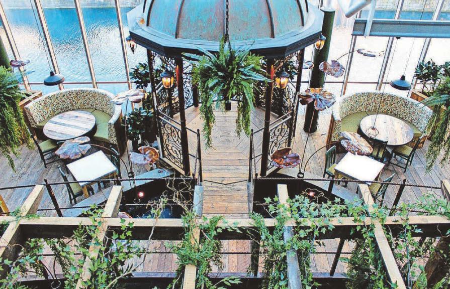 Iron Lilies to reopen 'newer, fresher and more affordable'