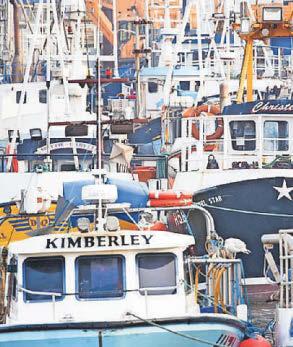 Post-Brexit law 'failing' to help fish stocks, Government warned