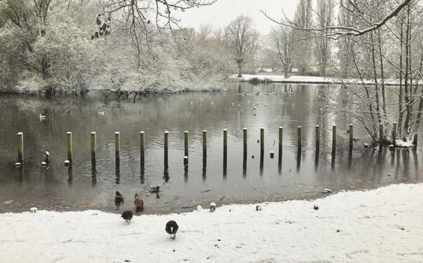 SNOW IS FALLING