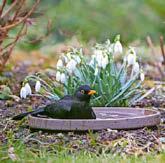 It's time to winter proof your patch