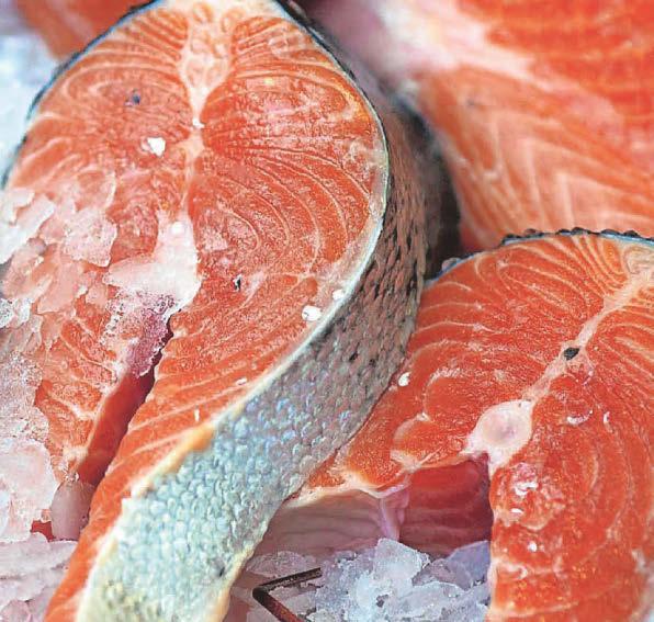 Funding concerns lead to calls for 'real action' on wild salmon decline