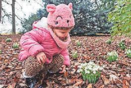 HALF TERM FAMILY ADVENTURES