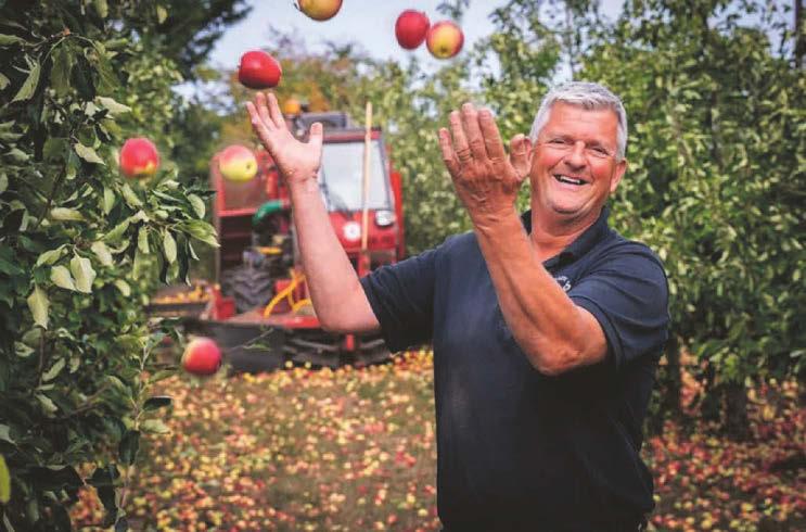 Leeds groups urged to grow community orchards with Thatchers Cider tree giveaway