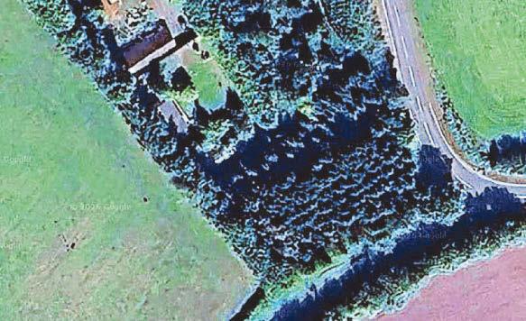 Decision made in long-running 'hidden' timber cabin saga