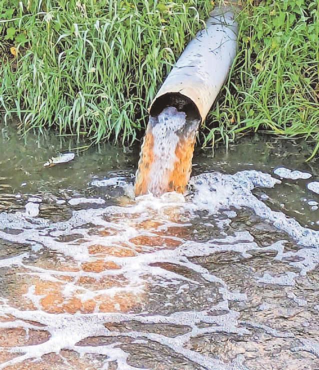 Number of sewage spills in waterways is still far to high