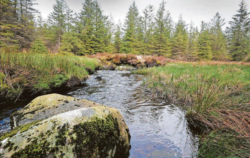 Neglected rivers could increase a risk of flooding